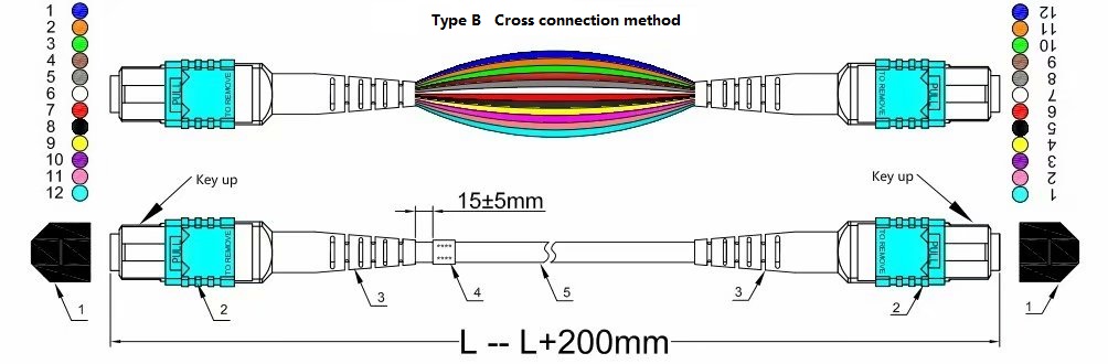 Quel est le type de séquence de fils des cavaliers fibre MPO ?