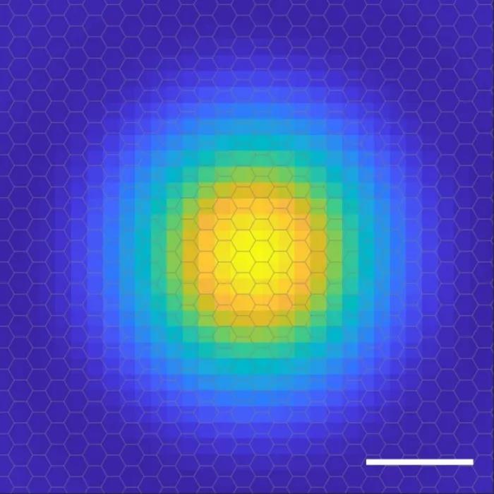 Un siècle après leur découverte, les humains ont capturé pour la première fois l'image orbitale électronique des excitons